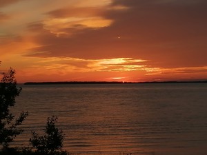 IMG-20190616-WA0003